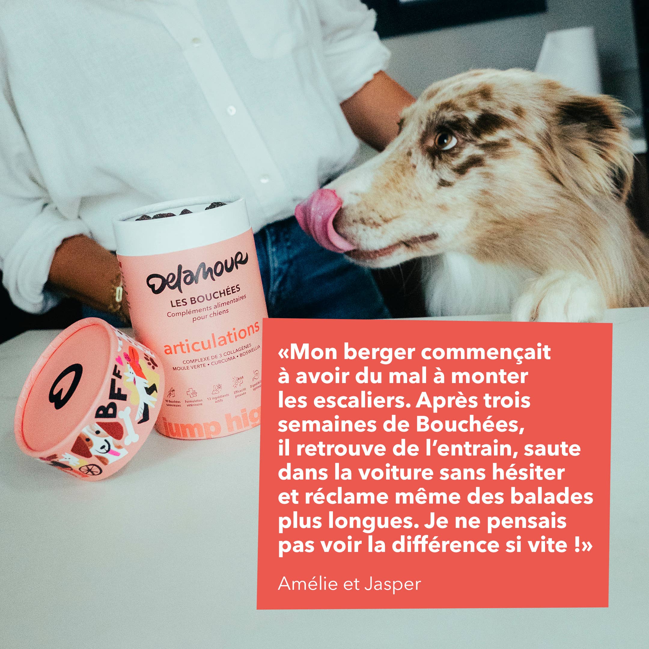 Delamour - Wholesale Pet Supplement - Dog - Les Bouchées - 90 chews to support Joints (270g)6