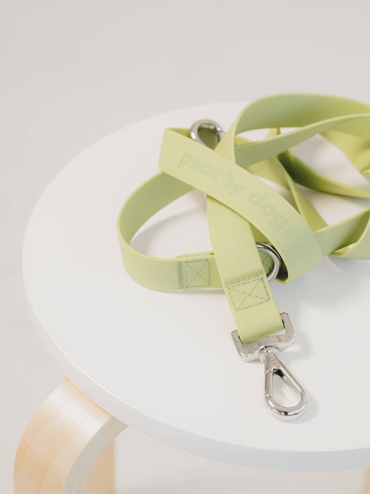 On-the-go Leash in Matcha for wholesale by Peachy Dogs