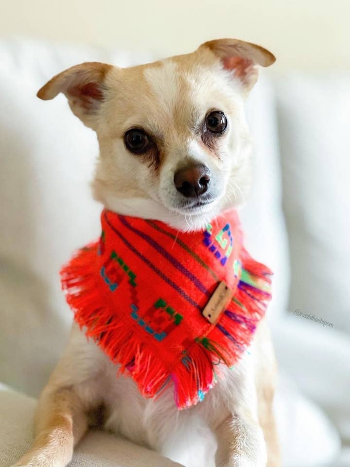 Orange Bandana for wholesale by AztecK9