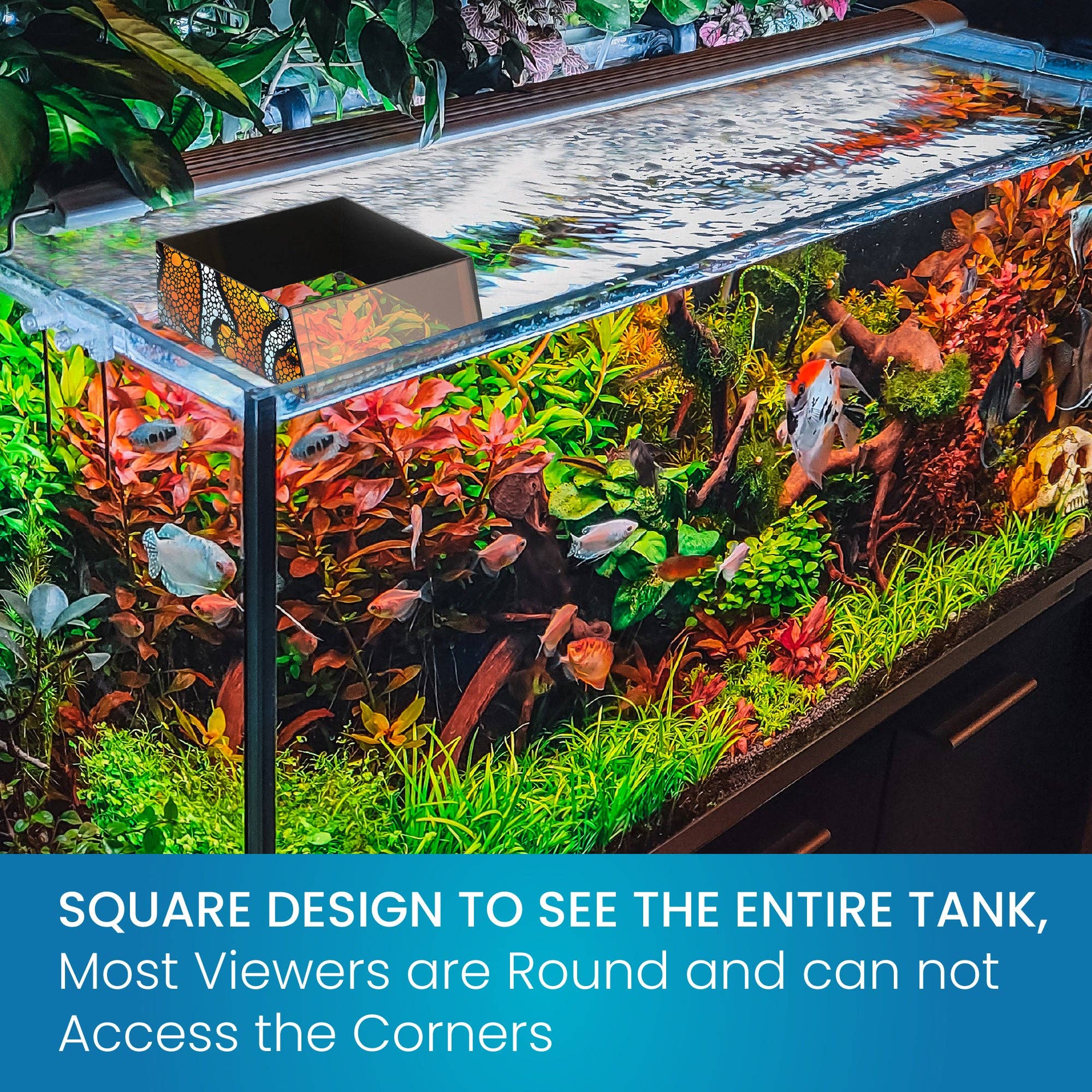 Flipper Aquarium Products - Wholesale Decorative Tabletop Object - Flipper Top Down Aquarium Viewer with Removable Orange Filter and Clownfish Artwork - 8" ultra clear viewing area7