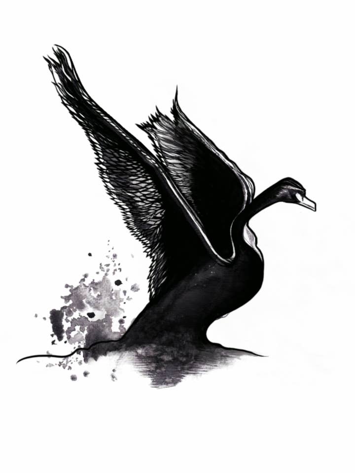 Impression d'art de cygne pour la vente par Kellie Cooke Art