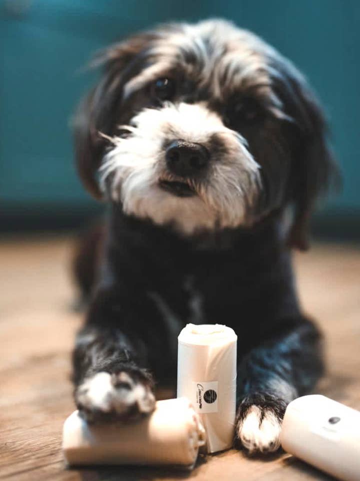 Compostable Dog Poo Bags for wholesale by Coacoara Foundation