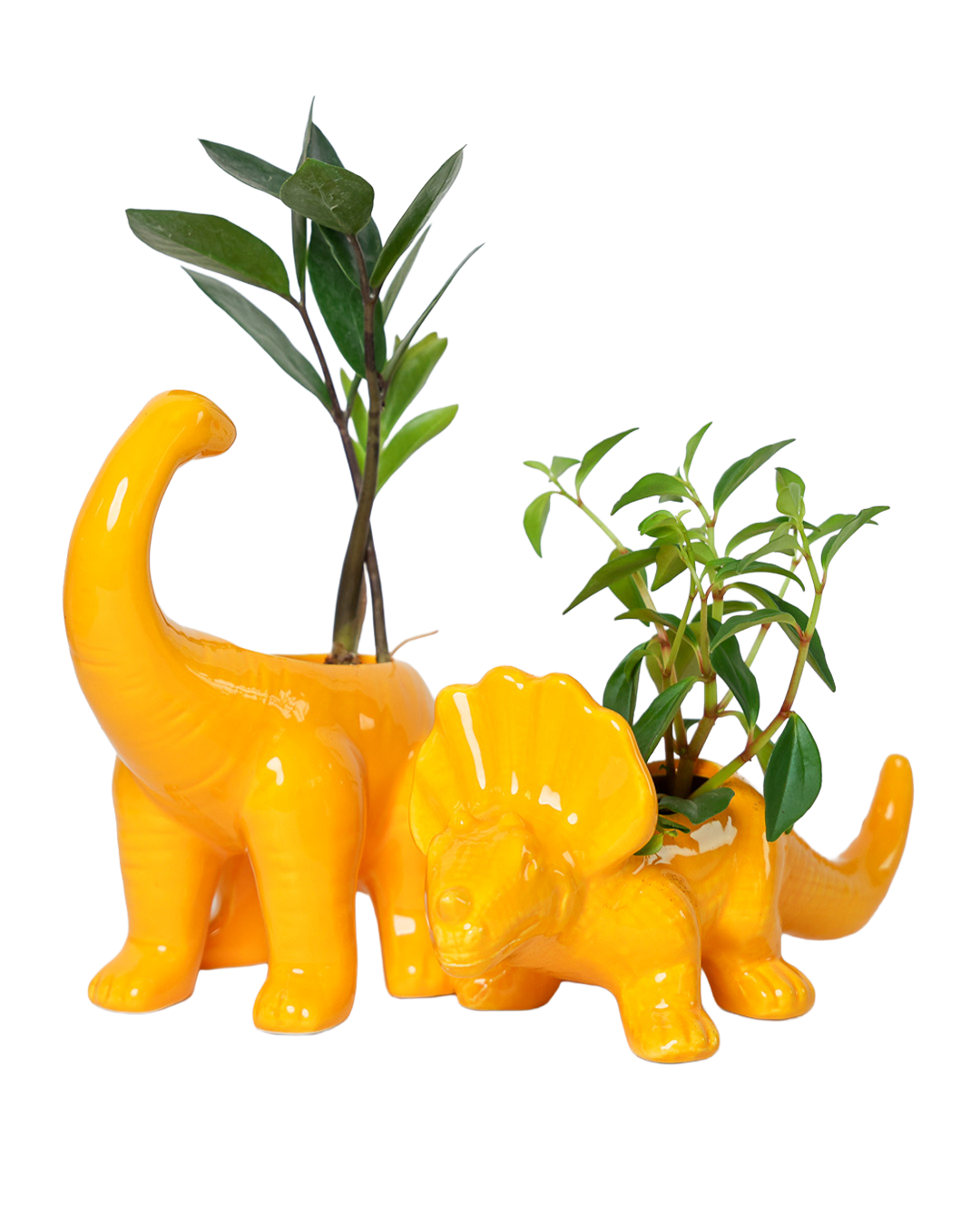  pc Assortment  Dinosaur Ceramic Indoor Plant Pot Kits for wholesale on Faire1