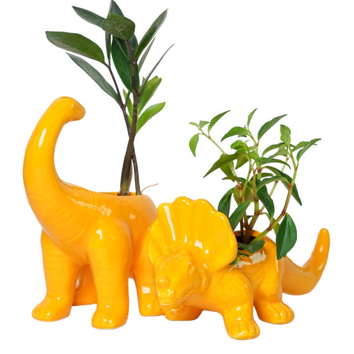 pc Assortment Dinosaur Ceramic Indoor Plant Pot Kits for wholesale on Faire1