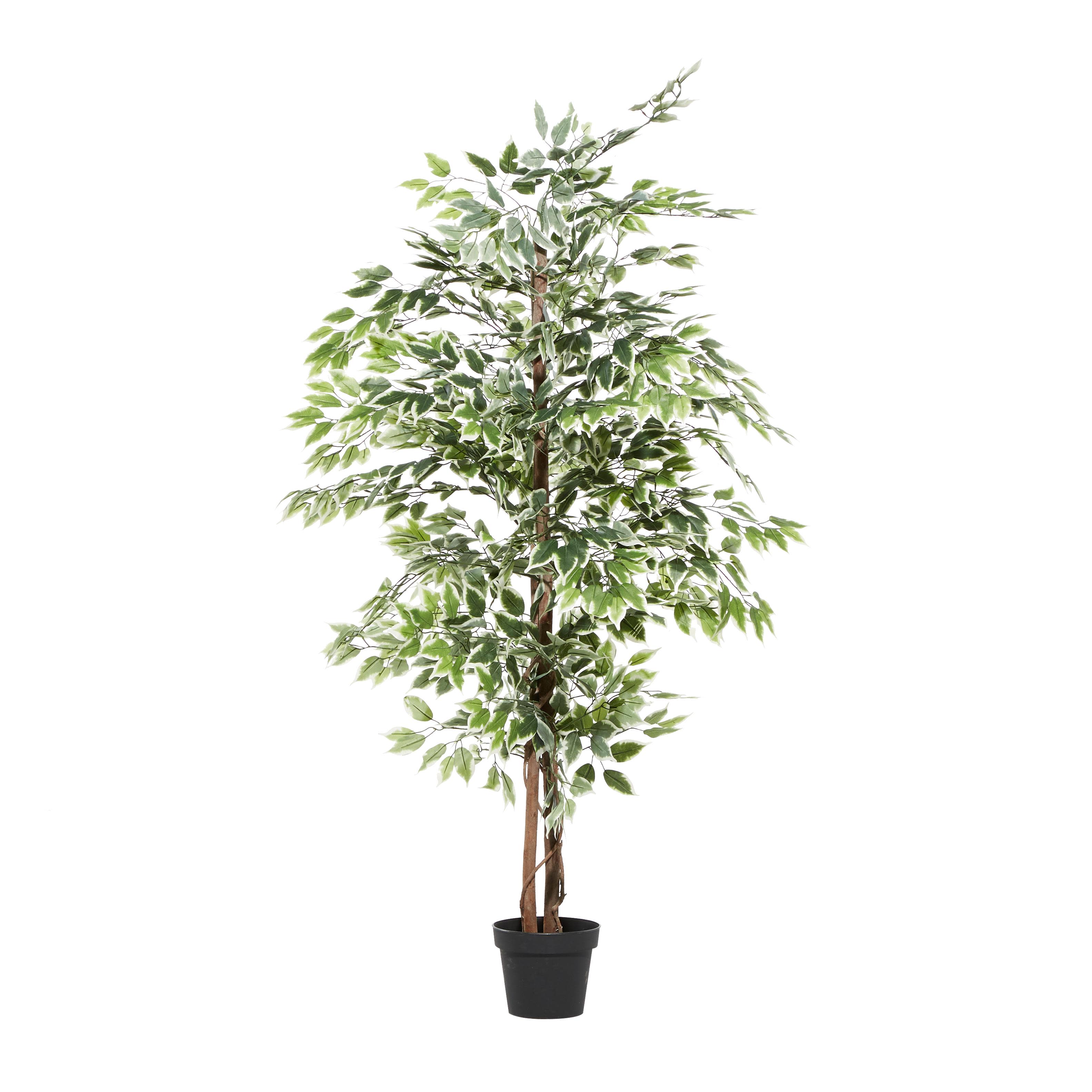 Import Corner – wholesale Artificial plant – A-88287: ARTIFICIAL FICUS TREE IN POT 73"H7