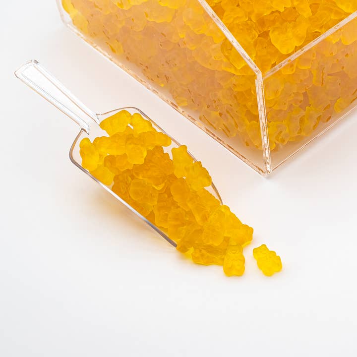 Sugar Bear Candy - Wholesale Gummy - Mango Gummi Bears