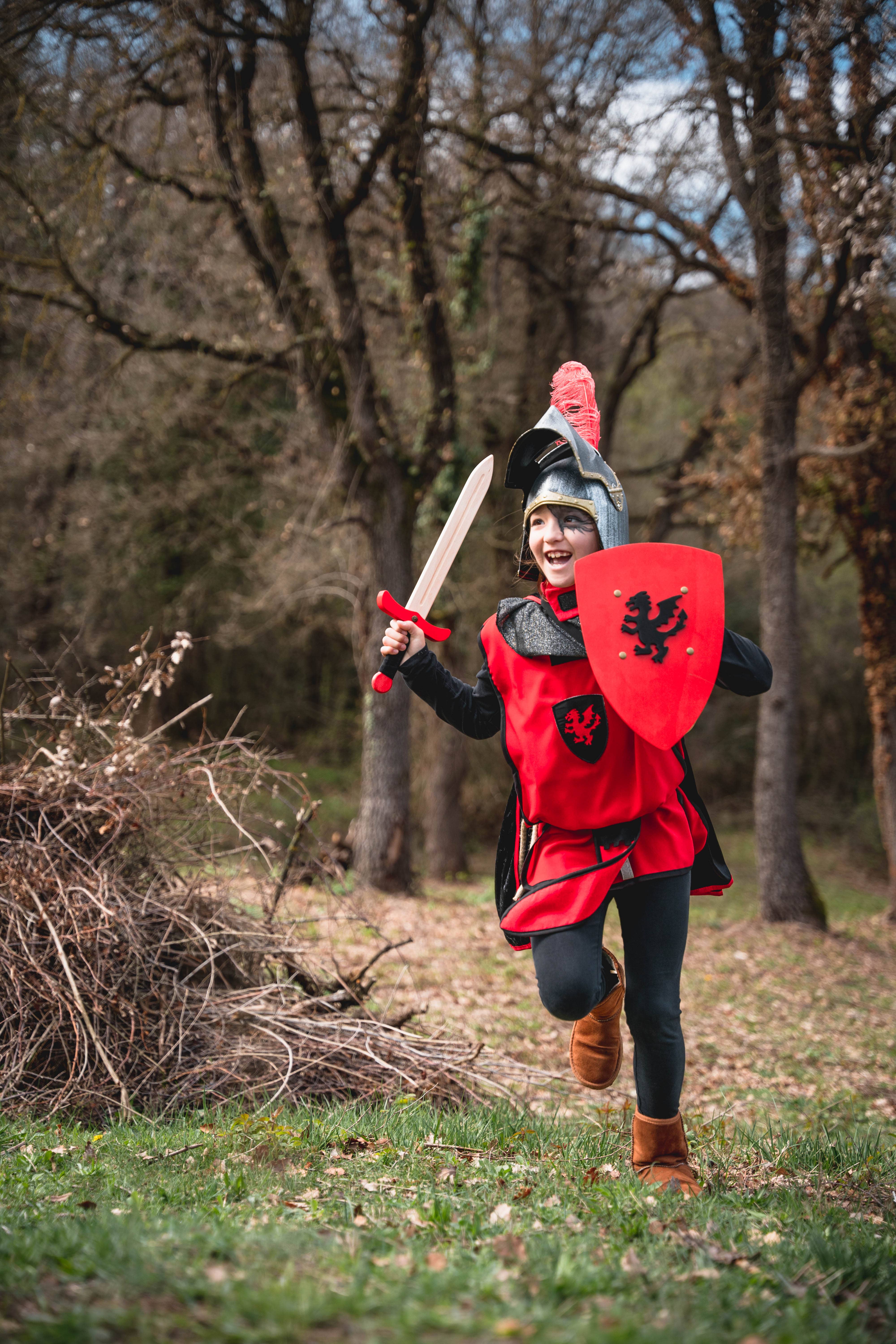 KALID MEDIEVAL - Wholesale Classic Toy - Kids - SHIELD KAMELOT RED WITH DRAGON S - ST5353