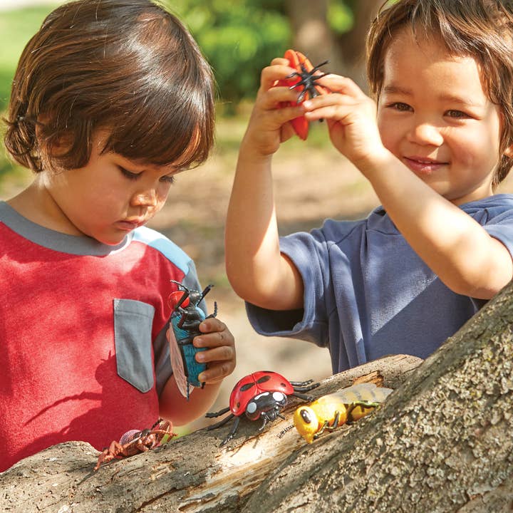 Learning Resources - Wholesale Toy Set - Kids - Jumbo Insects5