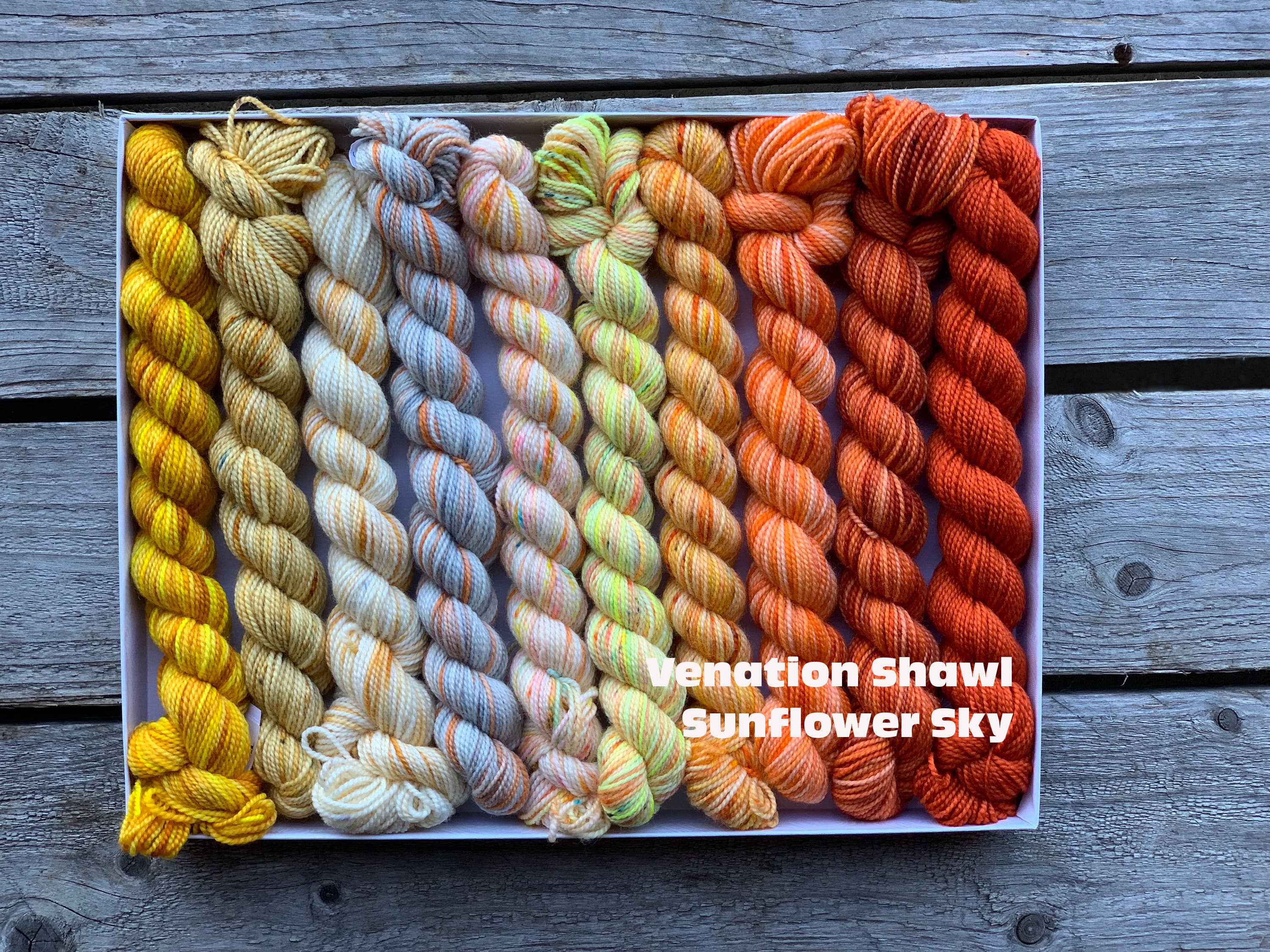 Koigu Wool Designs - Vente Fils à tricoter - Coffret de laine Koigu Pencil Box groupe 143