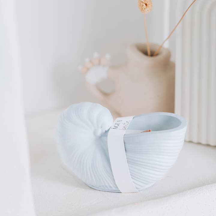 Agua Benta - Wholesale Jar/Filled Candle - Ostra shell candle soy wax5