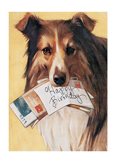 Laughing Elephant - Wholesale Birthday Card - Dog with Mail - Birthday Card1