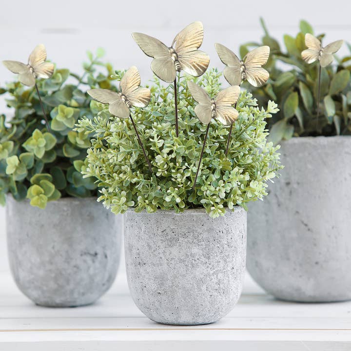 The Brass Butterfly - Wholesale Live Plant - Brass Butterfly Plant Sticks (Set of 6)
