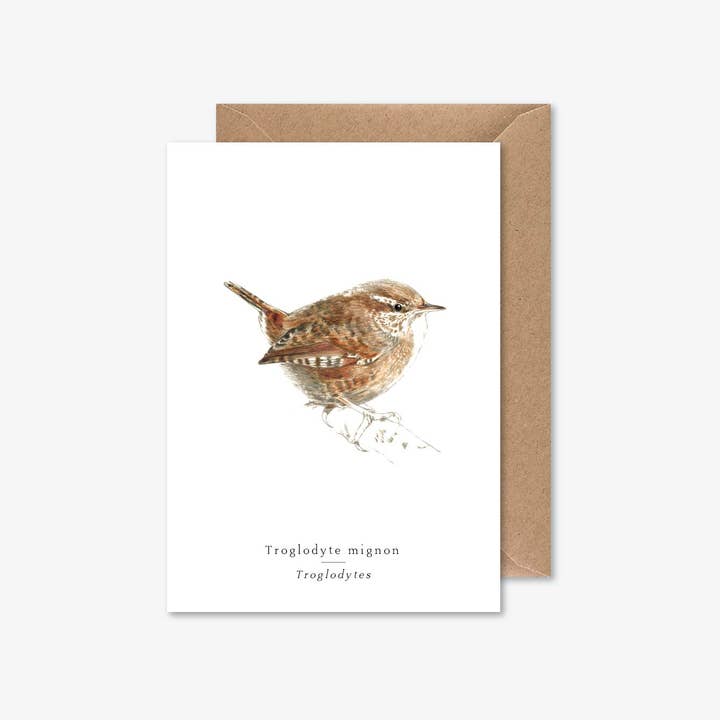 Papier Mirage - Wholesale Everyday Greeting Card - Eurasian wren