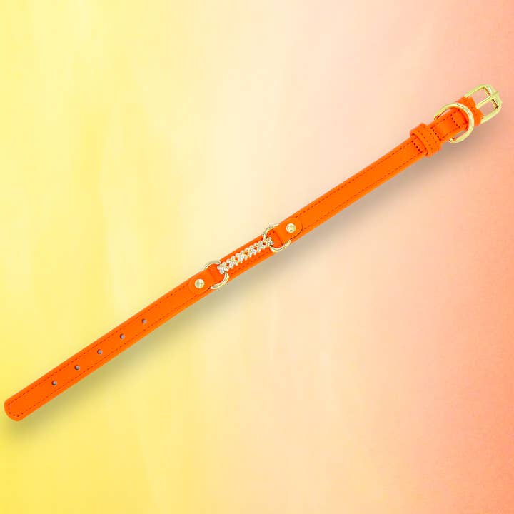 PupWiser - Wholesale Pet Collar - Dog - MAXIMA Handmade Leather Dog Collar (Orange and Turquoise)9