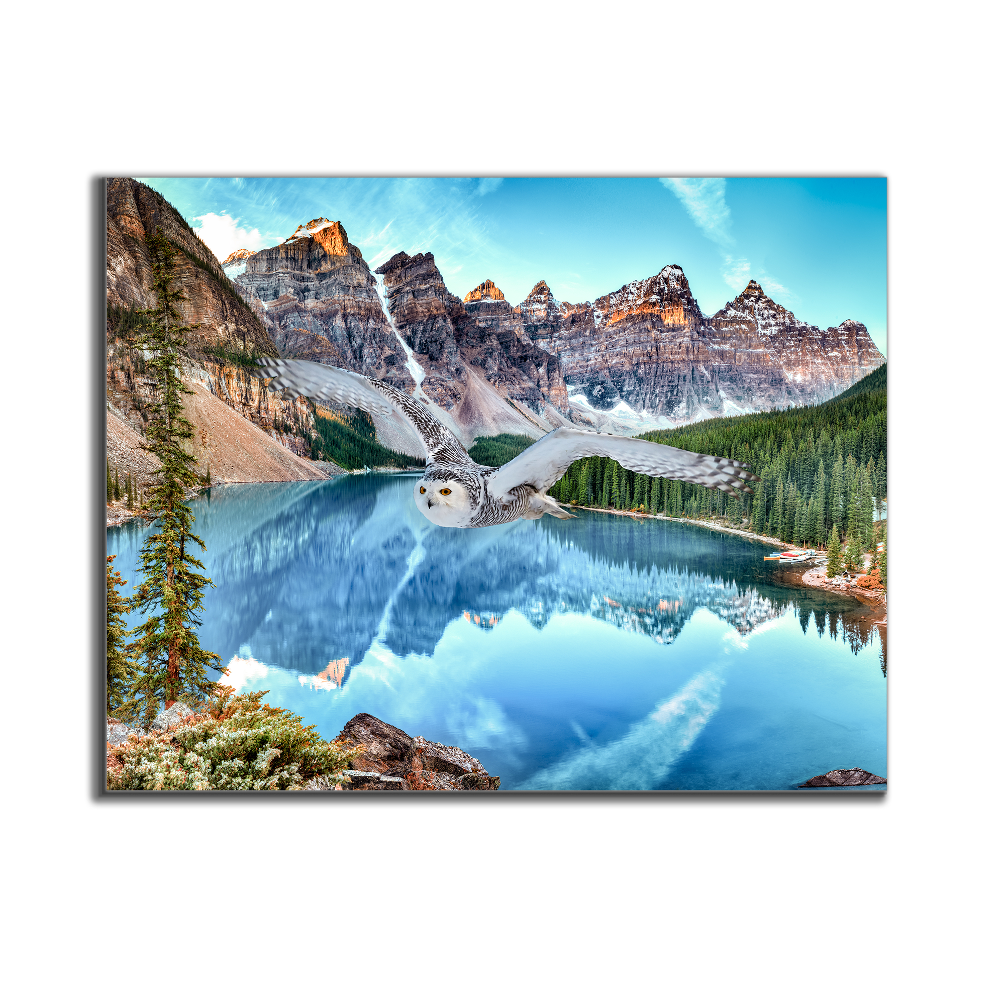 GTA ART - Vendita all'ingrosso Stampa artistica - Arte della fauna selvatica su tela - Gufo delle nevi a Banff - Opera d'arte stampata8