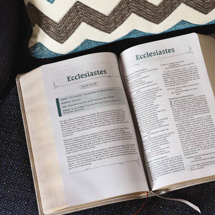 HarperCollins Christian Publishing - Wholesale Religion - NIV Couples' Devotional Bible Leathersoft, Stone8