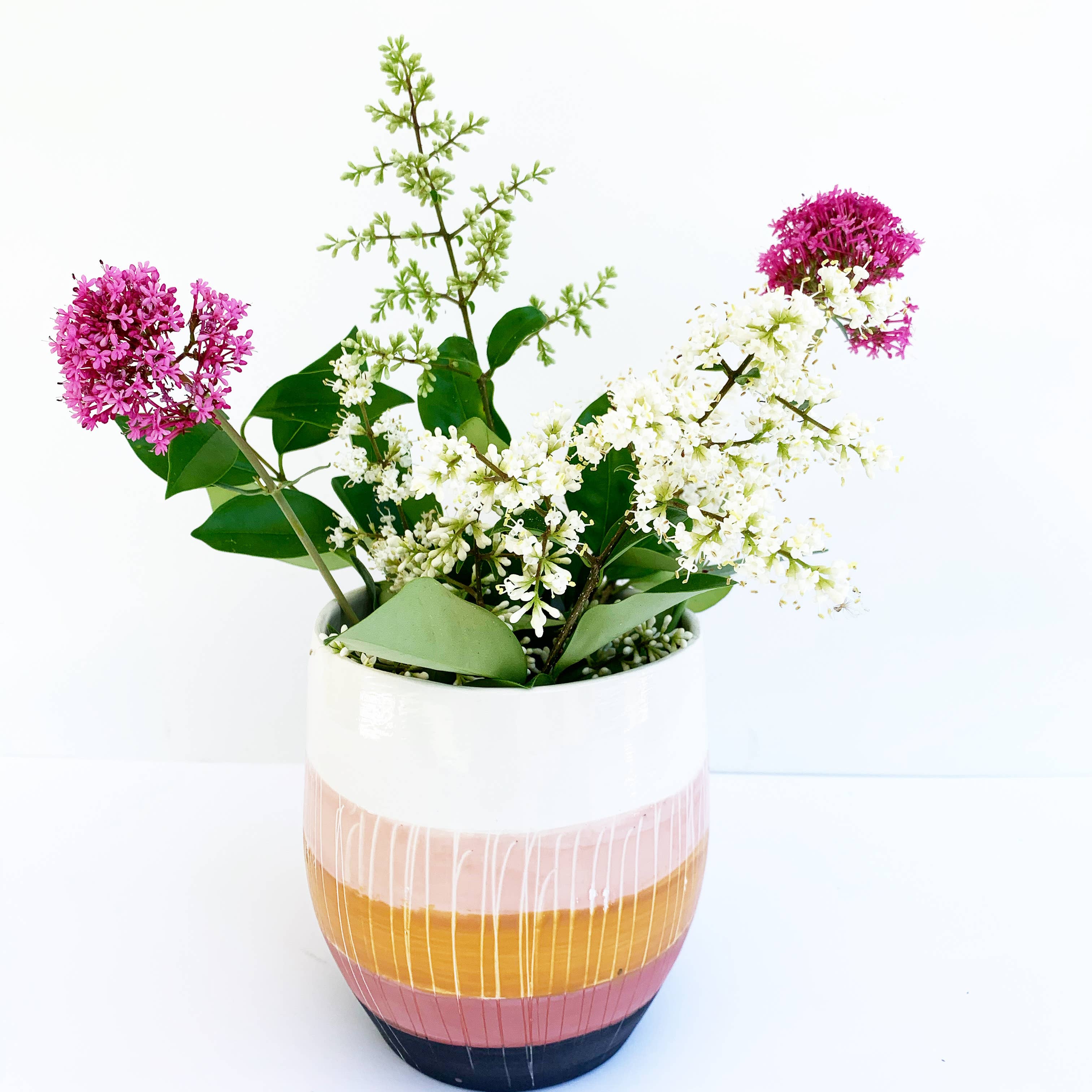 Luna Reece Ceramics - Wholesale Plant Pot - Joshua Tree Planter (large)2