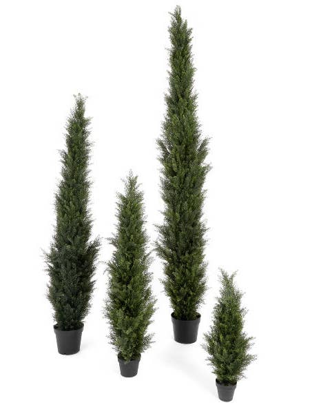 ZYPRESSE IM TOPF CEDAR POND 9' für den Großhandel von Studio Specialties