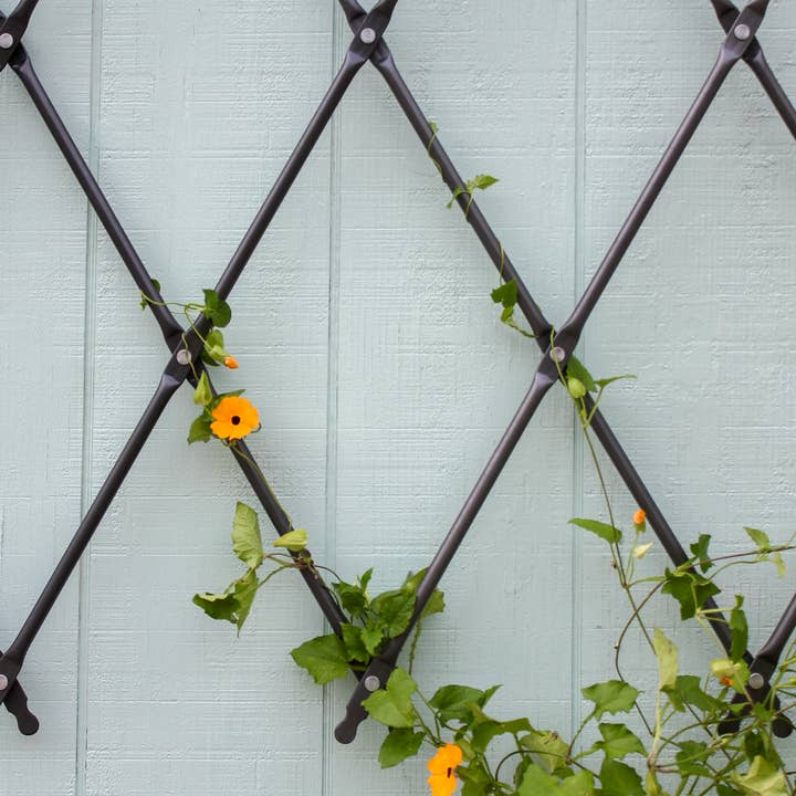 ACHLA Designs - Wholesale Trellis - Wall Mounted Lattice Trellis1