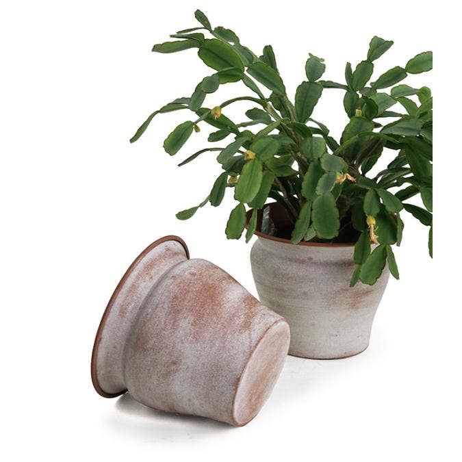 Buhi Imports - Wholesale Plant Pot - 6-Inch Spun Iron Bell Planter – Aged Terra Cotta Finish2