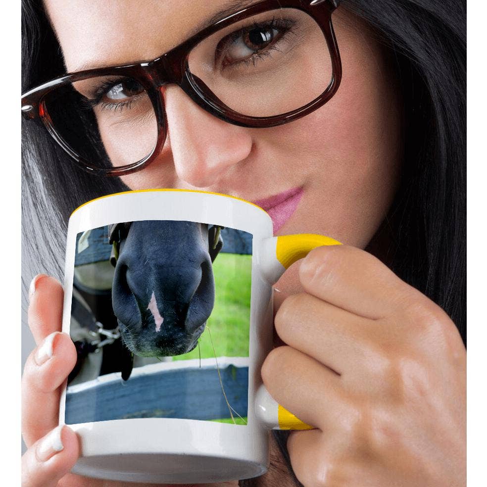 3dRose – Engroshandel Kaffekrus – 3dRose, hestemule med høhegn, krus1