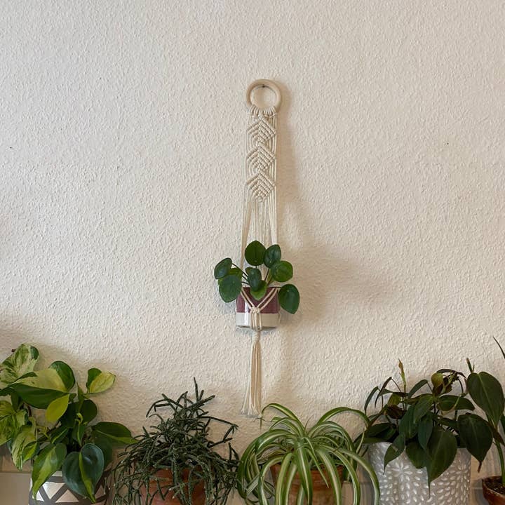 Luna Crafts - Vendita all'ingrosso Fioriere a sospensione - Appendiabiti da parete in macramè - seashell bianco