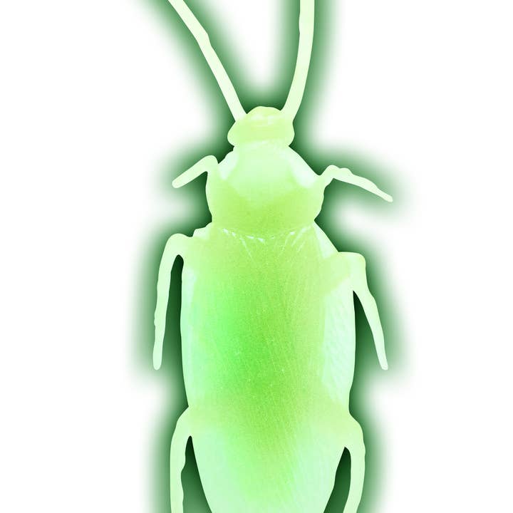 Flash Sales - Wholesale Gag Gift/Novelty Gift - Jbugly Crazy Cockroaches Glow in the Dark5