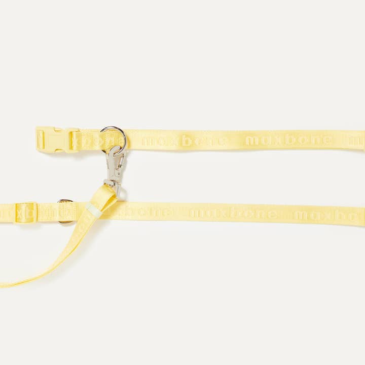 maxbone - Wholesale Pet Leash - Dog - GO! With Ease Hands-Free Leash for Dogs17