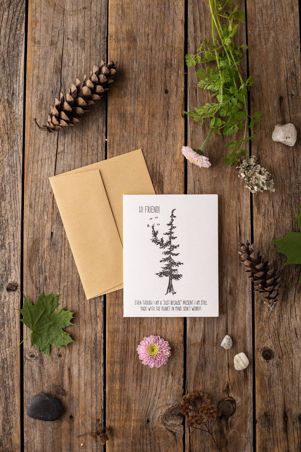 Drawn to Ecology - Wholesale Friendship Card - Hi Friend Card0