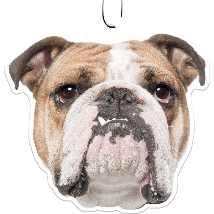 Bulldog Air Freshener for wholesale by Spoontiques, Inc