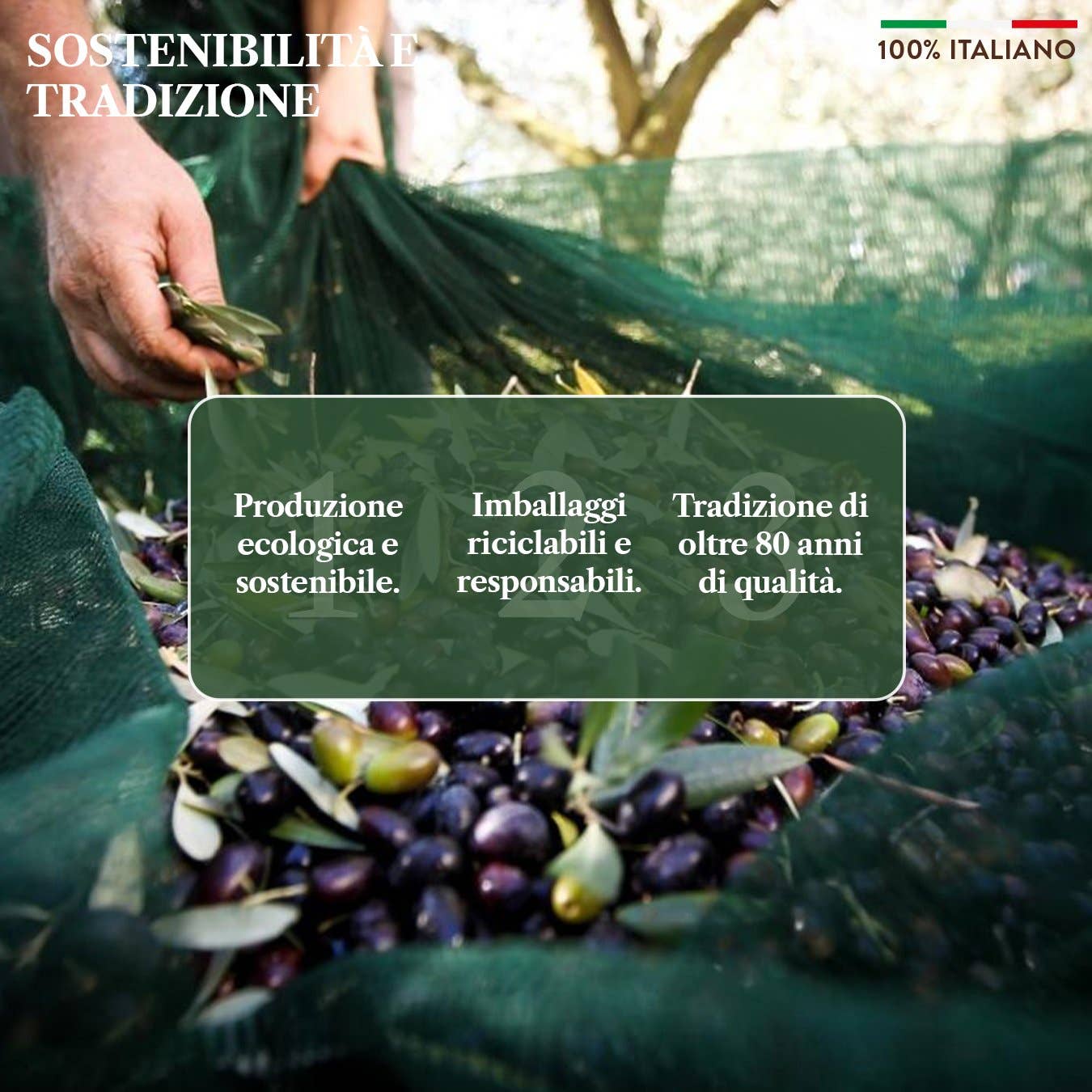 BENVOLIO.BIO by Wizebite S.r.l. SB - Wholesale Olive Oil - BENVOLIO Organic Extra Virgin Olive Oil 100% Italian 500ml3