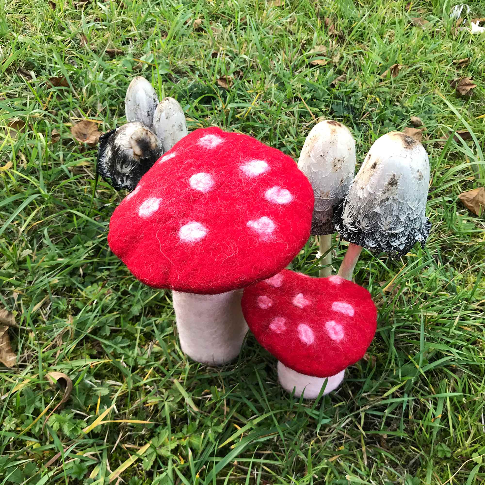 Tribal Trade GmbH - Vendita all'ingrosso Statuette decorative - Fungo amanita muscaria in feltro rosso, disponibile in 3 dimensioni15