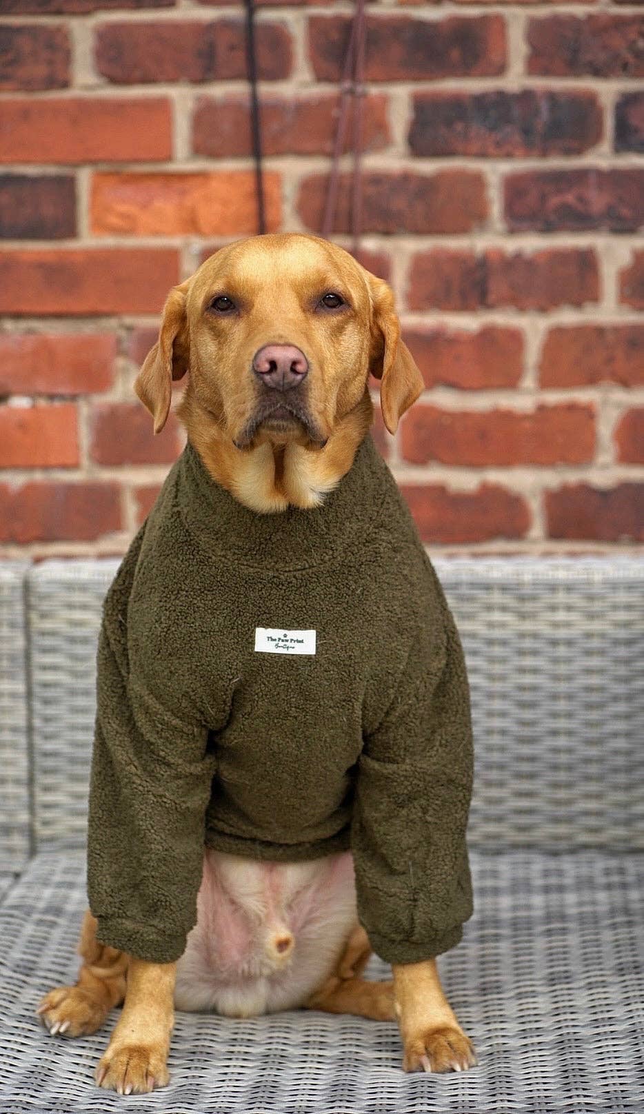 The Paw Print Boutique – wholesale Pet jumper – Dog – Teddy Fleece - Khaki8