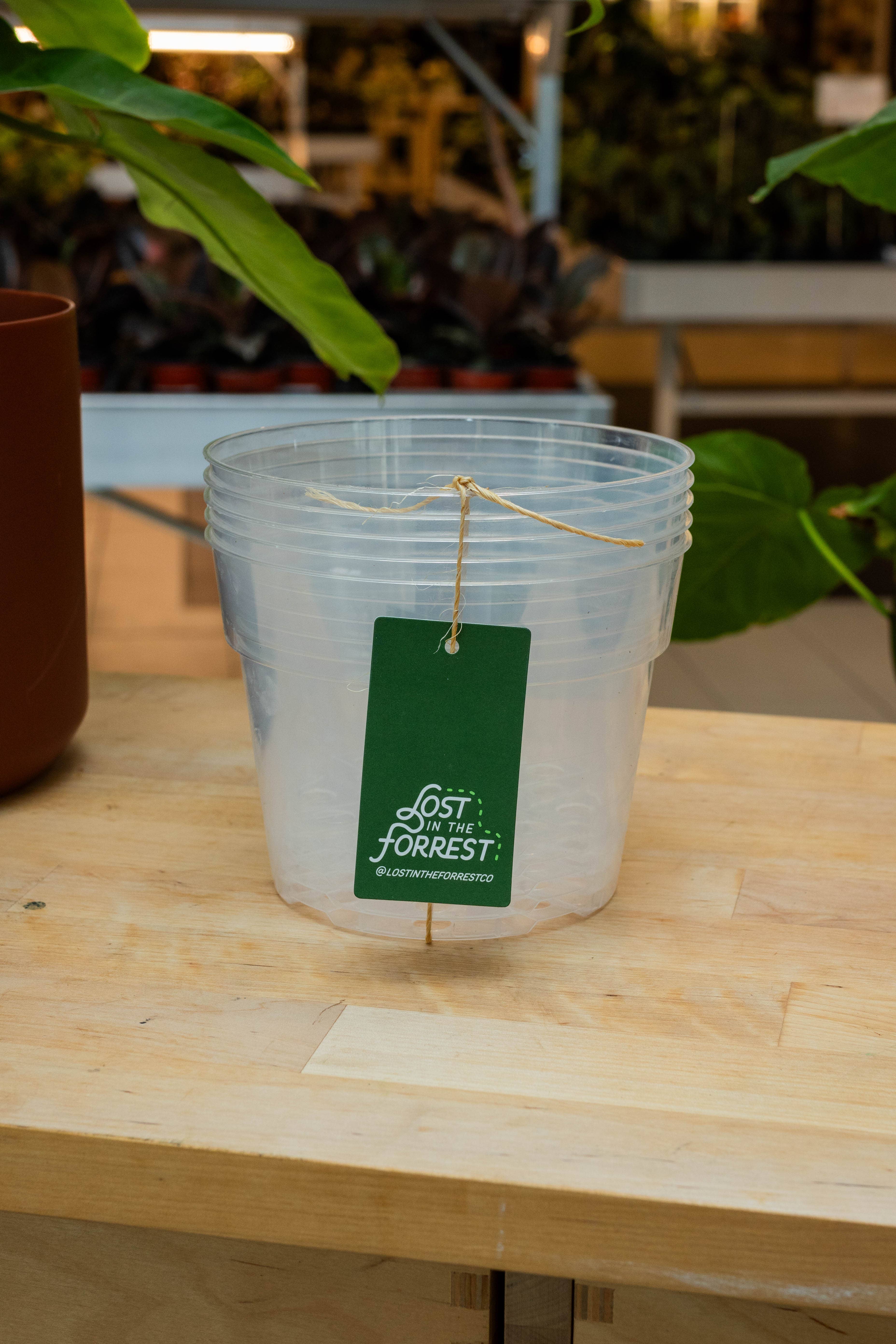 Lost in the Forrest - Wholesale Plant Pot - Clear Grower Pot11