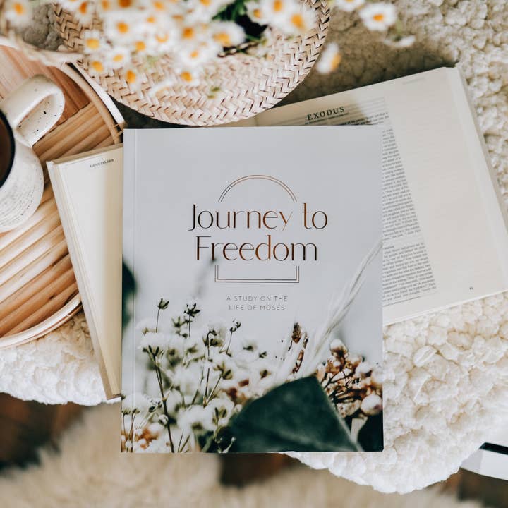 Journey to Freedom | The Life of Moses for wholesale by The Daily Grace Co