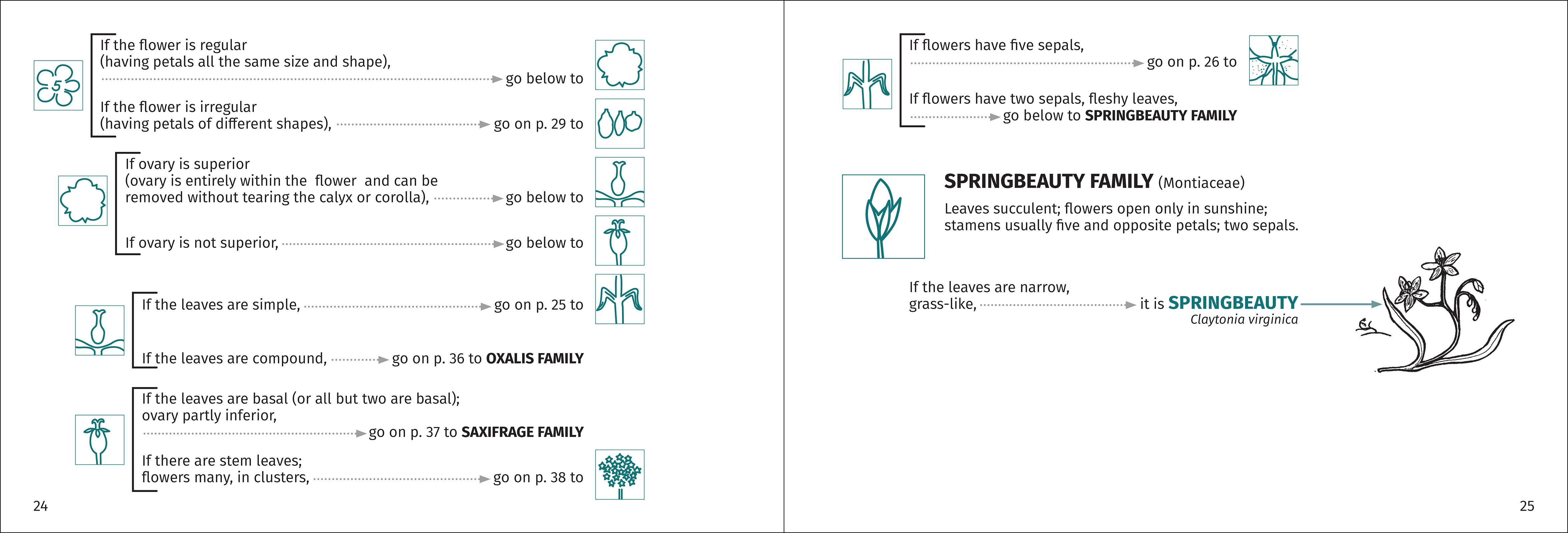 AdventureKEEN - Wholesale Nature & Outdoors - Flower Finder 2nd Edition4