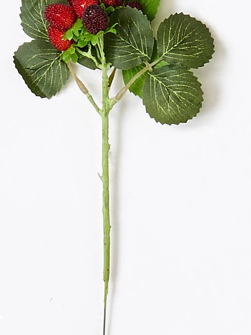 Baie cirée de 10,75 pouces avec 9 fleurs pour la vente par WORTH IMPORTS