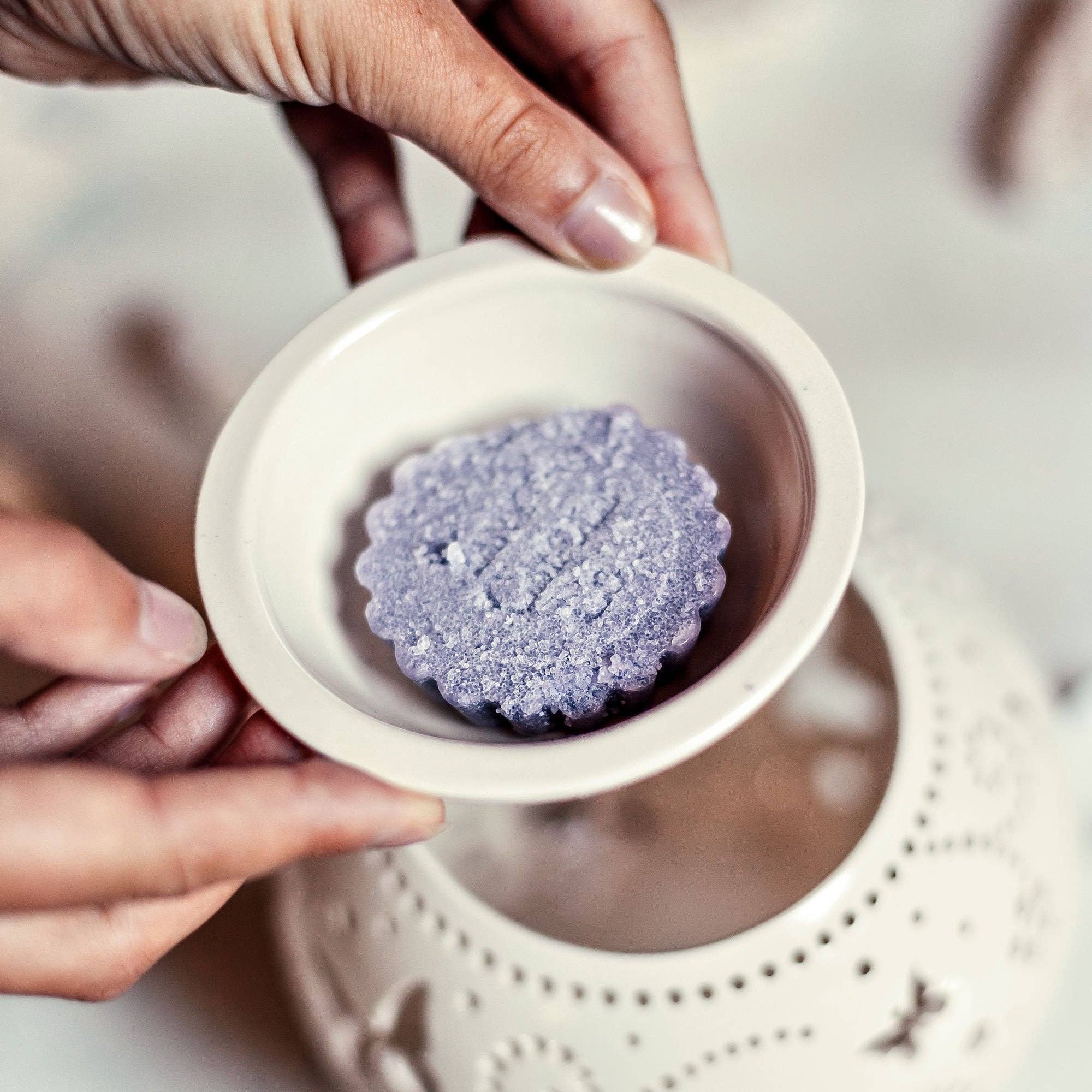 Cozy Home Ideas - Wholesale Wax Warmer - Wax melt warmer - candle holder "Hummingbirds"2