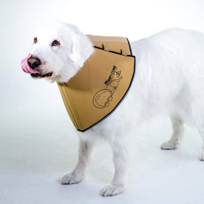 All Four Paws - Wholesale Pet Collar - Dog - XXL-The Original Comfy Cone