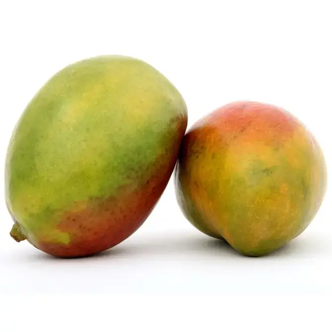 HalalEveryDay - Wholesale Body Balm/Butter - Mango Butter5