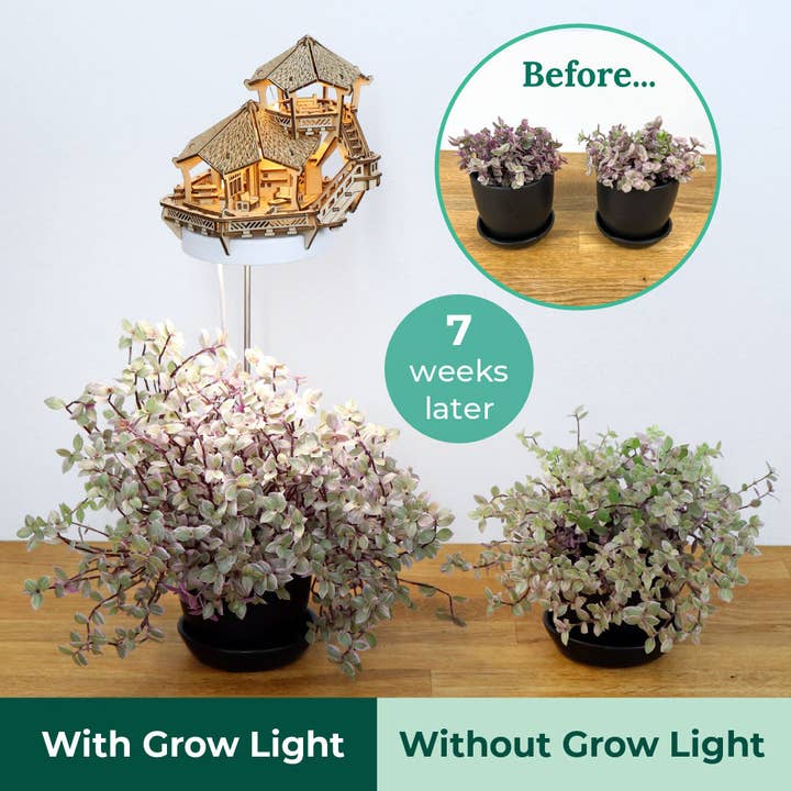 Tiny Treehouses - Wholesale DIY Craft Kit - Island Cabana + Grow Light14