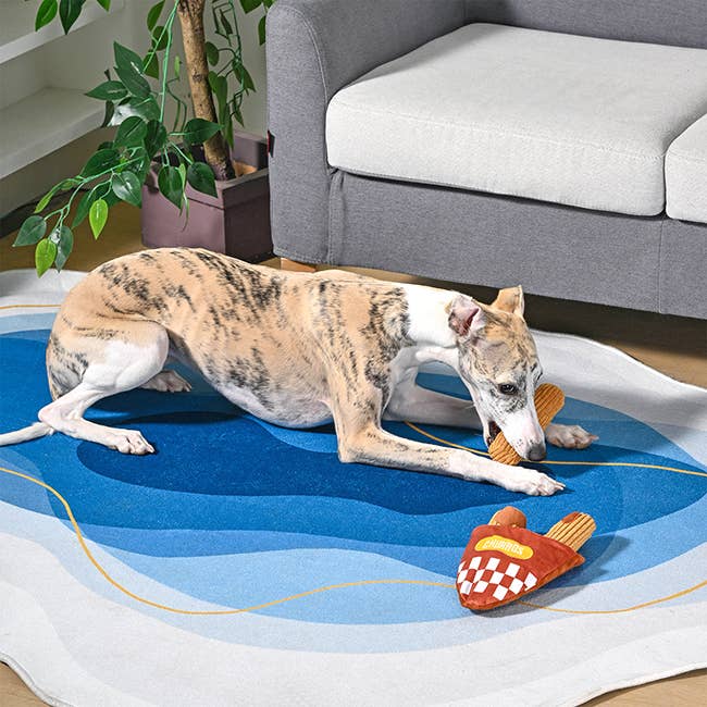 Hugsmart Products Inc - Wholesale Pet Plush Toy - Dog - HugSmart Pet - Food Party | Churros - Interactive Toy4