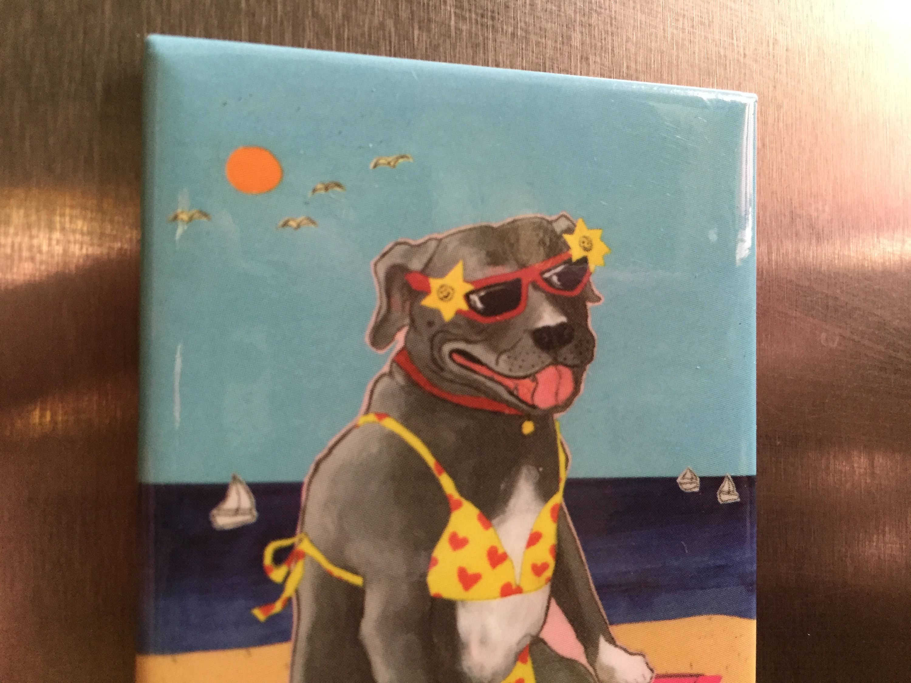 Sunde White Industries - Vendita all'ingrosso Calamite - Calamita da frigorifero Pitbull in a bikini1