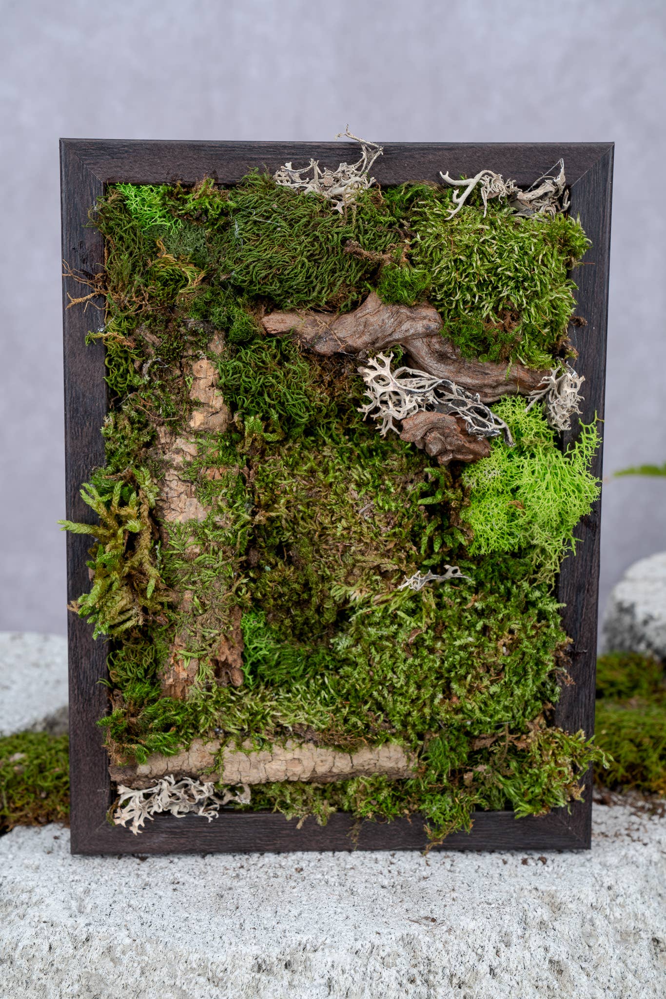 TERRART NYC - Wholesale Wall Planter - Nature's Canvas Moss Wall4