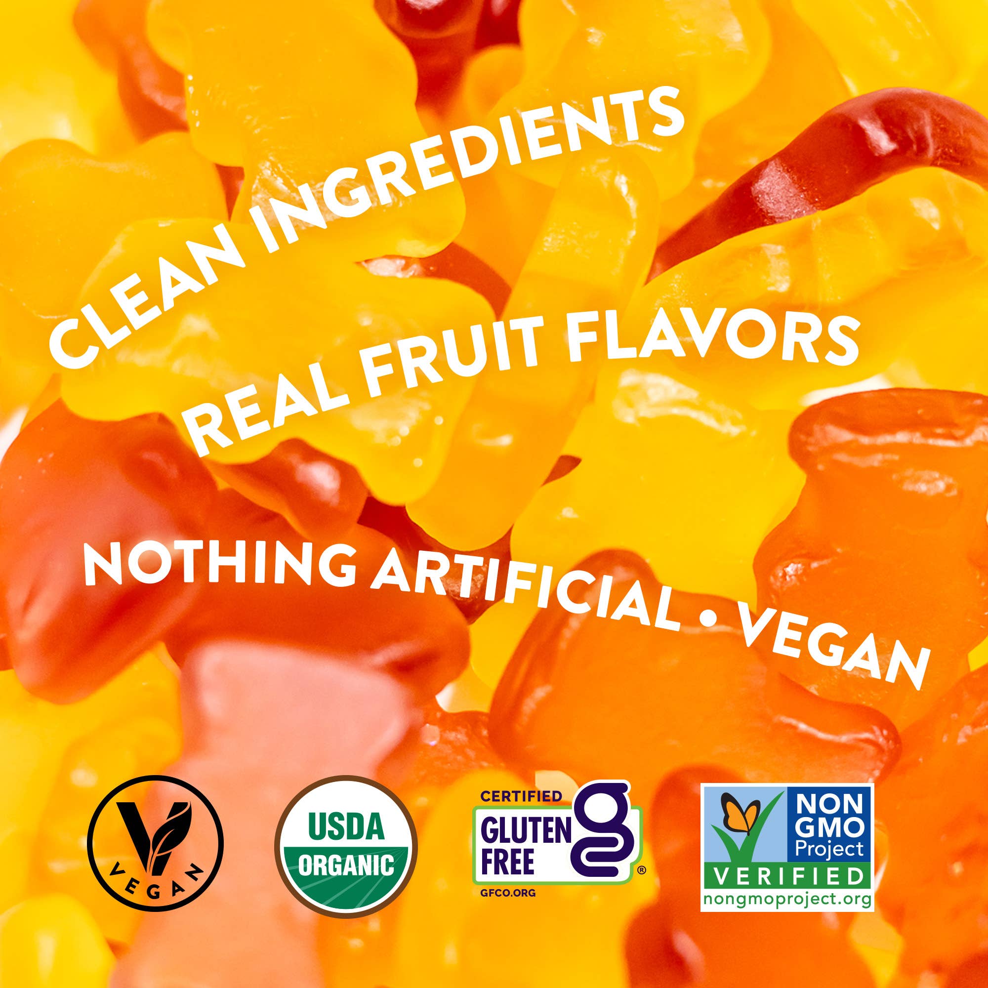 Candy People USA - Wholesale Gummy - Vegobears, Santa Monica 4oz. (10 Pack) - Organic Gummy Bears2