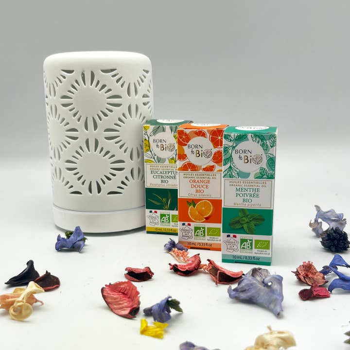 Les Laboratoires Bio Seasons - Vente Huile essentielle - HUILE ESSENTIELLE BASILIC TROPICAL BIO 10 ML3