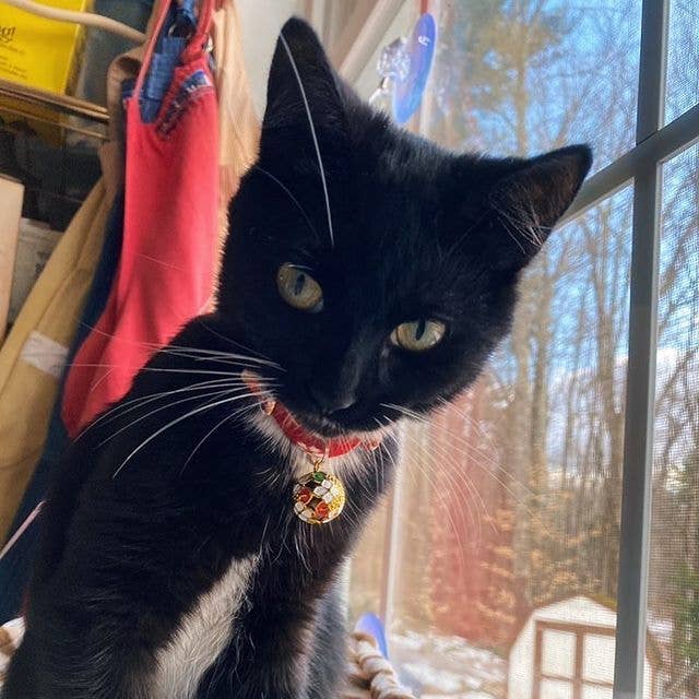 MOON-X USA, INC. - Wholesale Pet Collar - Cat - Chirimen Temari Dynasty Cat Collar (Red)4