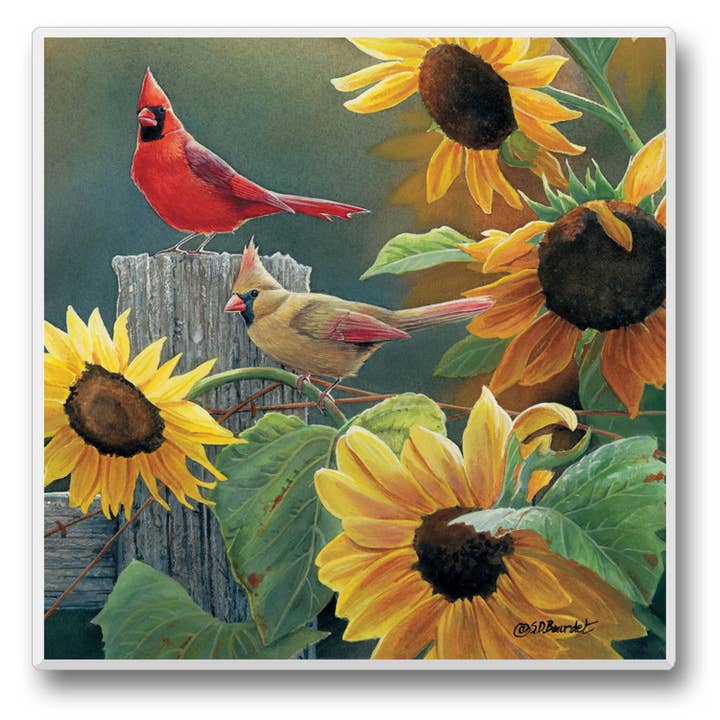 CounterArt/Highland Home/Thirstystone/CoasterStone - Wholesale Retailer Display - Home & Living - Take Flight Pre-Packed Single Coaster Display