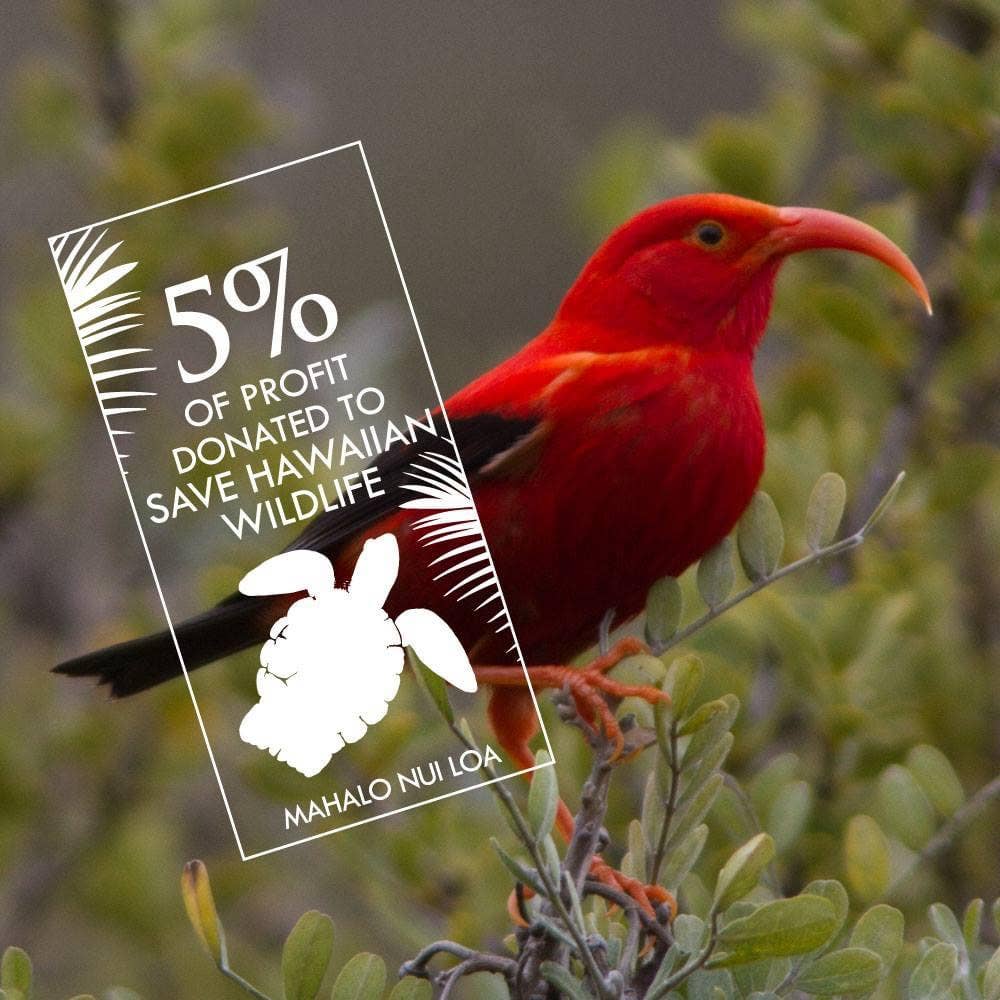 Maui Soap Co. - Wholesale Body Cream/Lotion - Aloha 'Aina - Hibiscus Passion Body Lotion2