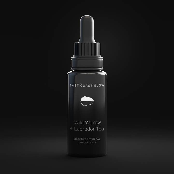 Yarrow sauvage + thé du Labrador - Concentré botanique bioactif pour la vente par East Coast Glow